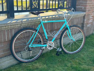 Darren's Trusty 1987 Raleigh Elkhorn