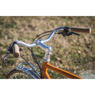 Velo Orange Tourist Handlebar on Pass Hunter