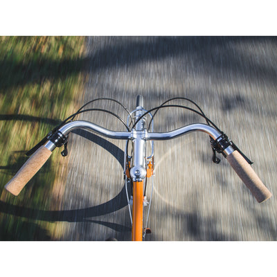 Velo Orange Tourist Handlebar on Pass Hunter